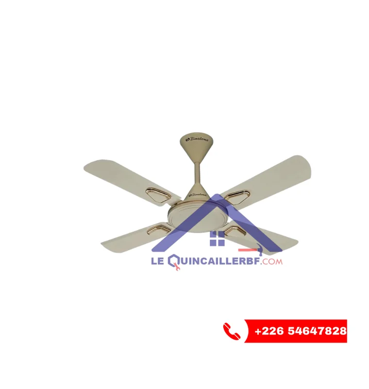 Brasseur binatone – Vente au Burkina Faso